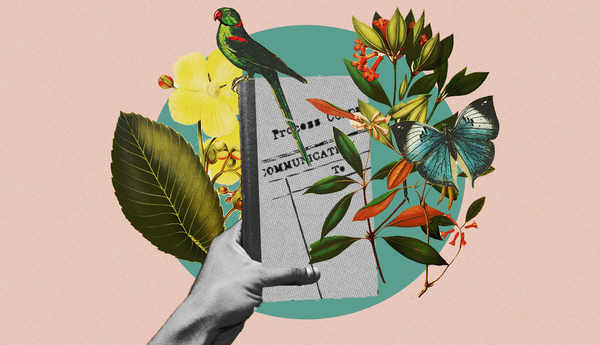 Top 5 fundamental UX Design books for your bookshelf